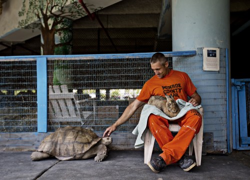佛羅裏達動物園開在監獄中 囚犯化身保育員(圖)