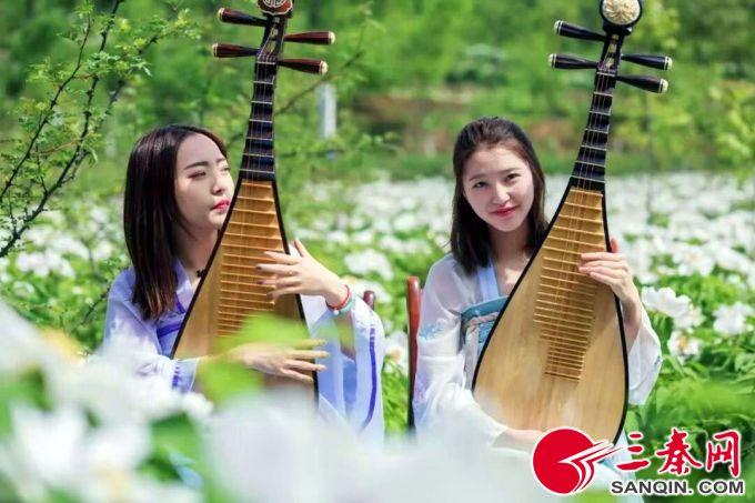 临潼小山村 脱贫全靠“花仙子”