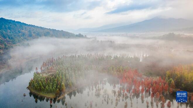 Hutan Metasequoia Persis Lukisan_fororder_shuishan3