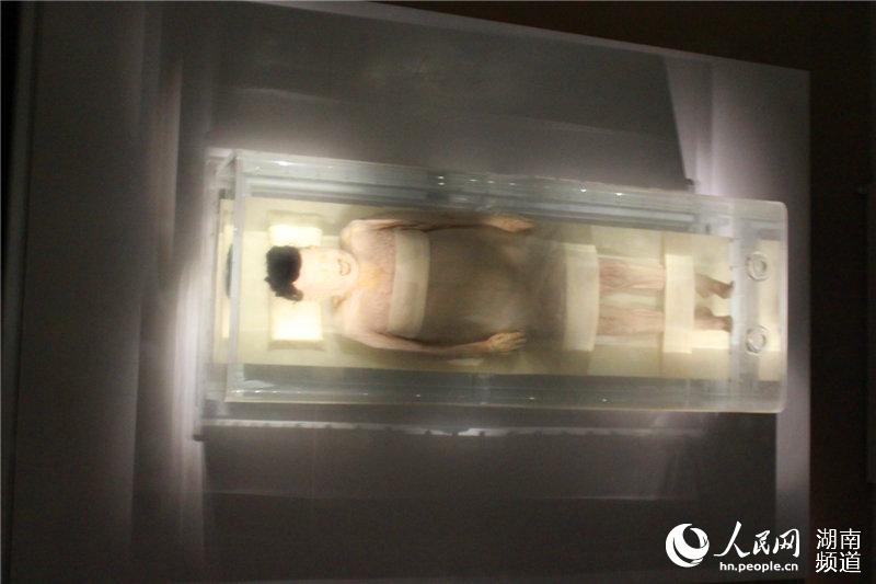 阔别五年 湖南省博物馆崭新亮相 凭身份证免费参观