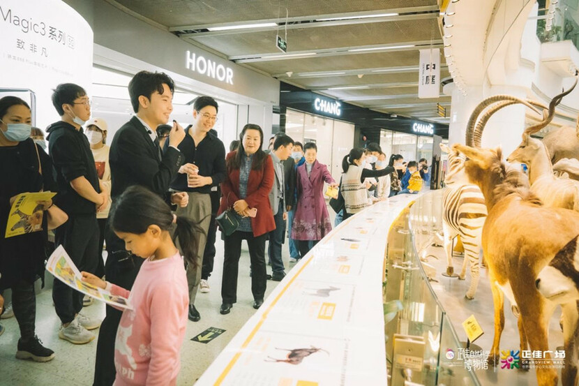 正佳广场“野性城市——非洲动物标本展”亮相_fororder_“非洲动物标本展”现场