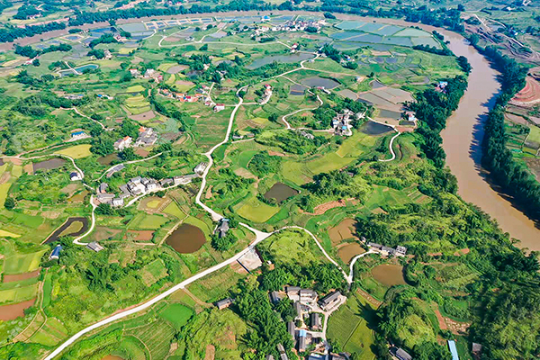 我在乡村挺好的自贡市沿滩区詹井村第一书记谢瑞麟用实际行动助推乡村