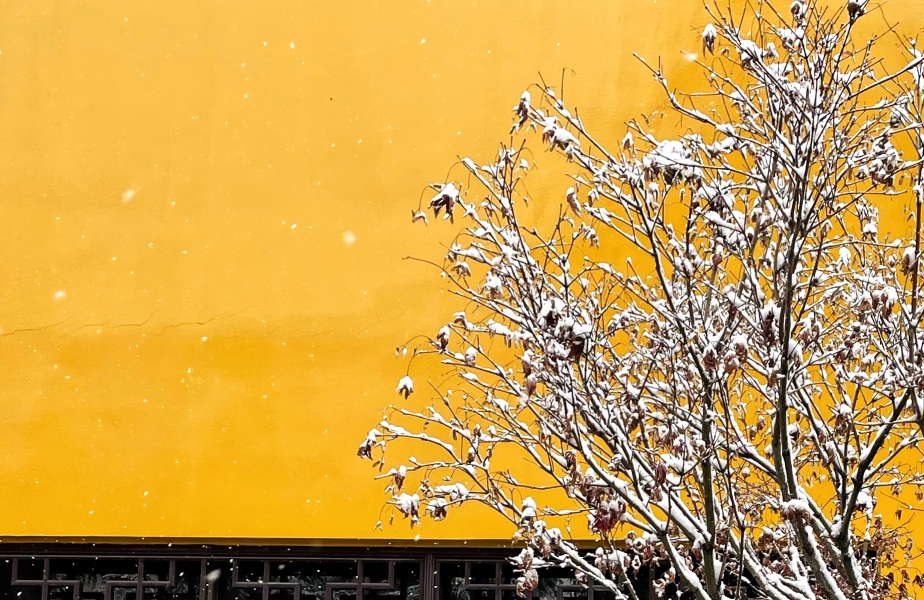 （中首）貴陽西普陀寺初雪素裝