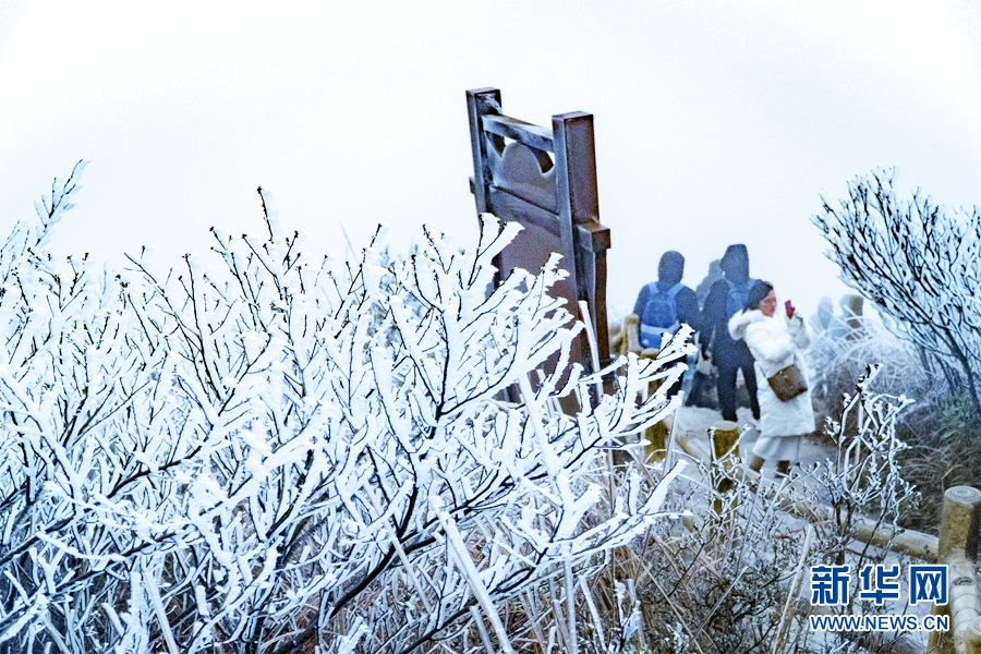 广东清远金子山披上“冰衣” 尽显“南国冬韵”