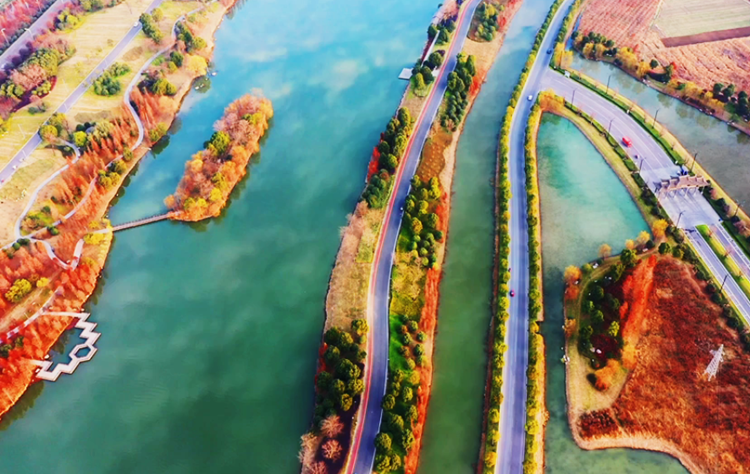 碧波荡漾层林染