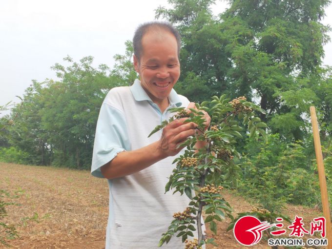 临潼这个村，为脱贫在屋顶上种起了太阳