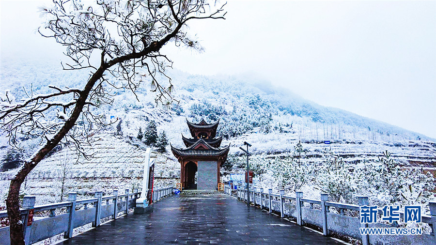 湖北多地迎降雪 雪潤大地美如畫