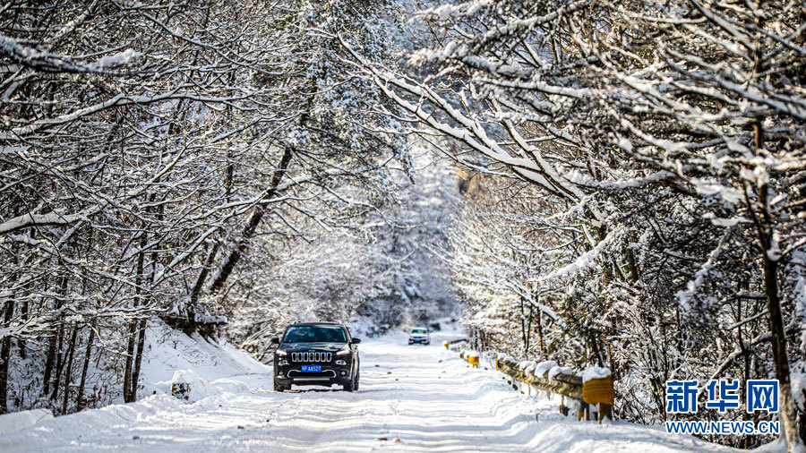 湖北多地迎降雪 雪潤大地美如畫