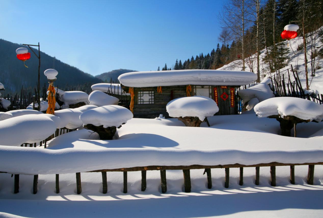 雪鄉12月29日開園，冬日實力派浪漫回歸！