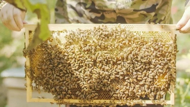 乡村产业数字化 帮1900万个“小丽”留下来