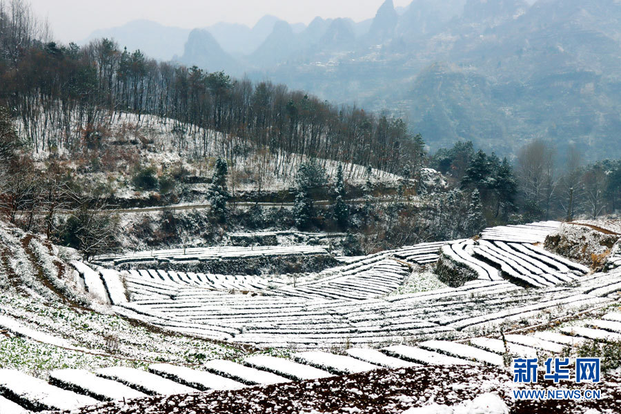 湖北多地迎降雪 雪潤大地美如畫