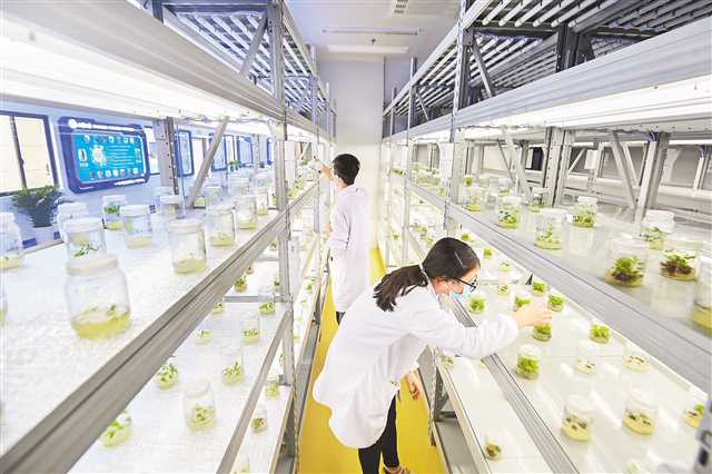 西部（重庆）科学城种质创制大科学中心正式运行