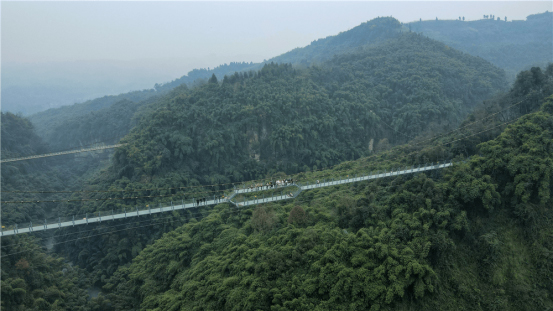 解锁竹海观景新视角 天府川西竹海景区高空全景走廊亮相_fororder_未标题-1