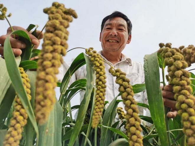 Tsina, patuloy pa ring patatatagin ang saklaw ng pagtatanim ng pagkaing-butil sa 2022_fororder_20211230agrikultura2