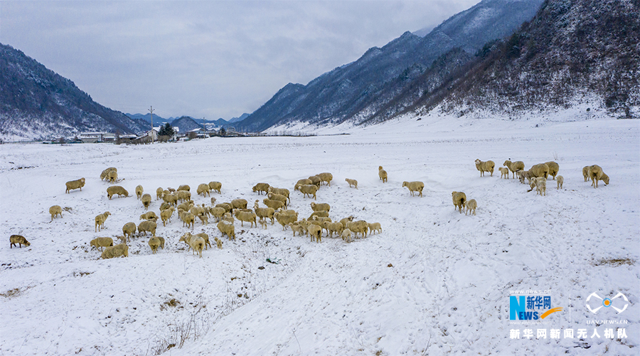 【城市遠洋帶圖】重慶巫溪：冰雪奇緣秘境紅池 這裡的雪過分美麗