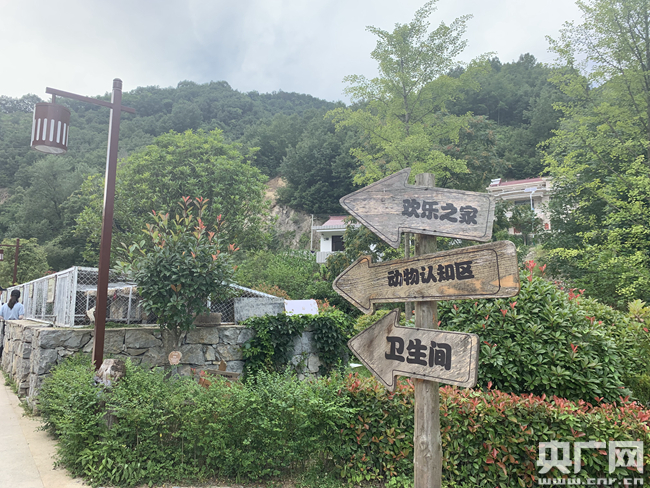 昔日秦岭穷山沟变身童话小镇 绘就美丽乡村新画卷