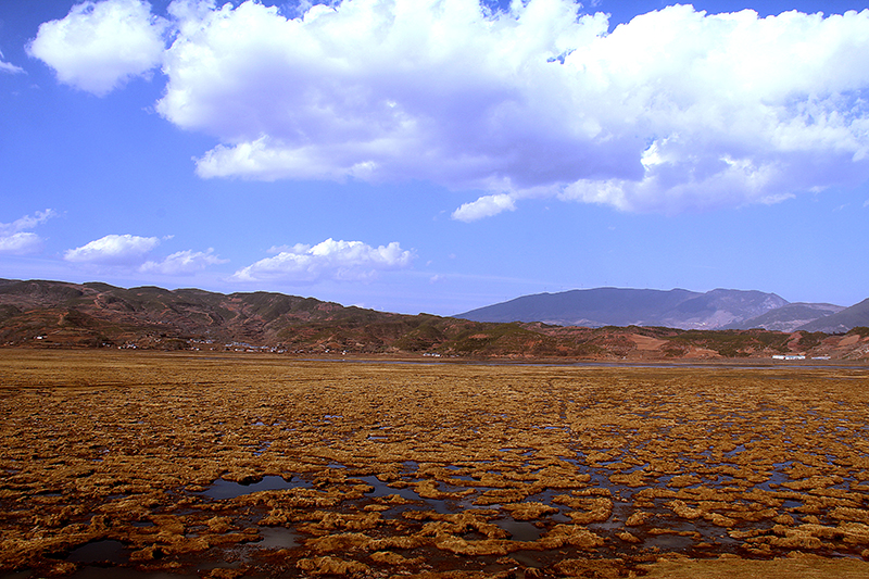 深藏在大凉山深处的最美湿地——布拖县乐安湿地_fororder_乐安湿地-供图-布拖县委宣传部（1）