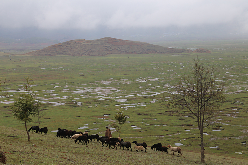 深藏在大凉山深处的最美湿地——布拖县乐安湿地_fororder_乐安湿地-供图-布拖县委宣传部（5）