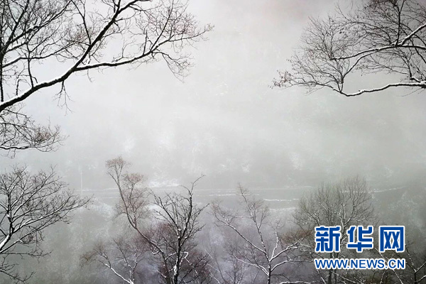 【区县联动】【城口】城口县黄安坝开启冰雪童话模式