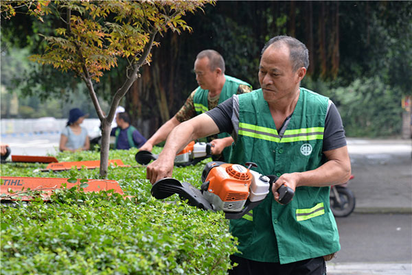 園林養護工修剪綠化 攝影 雷卓鳴