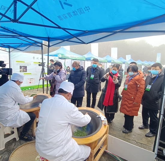 （供稿）2022年“貴州綠茶”第一採六盤水分會場活動在水城區舉行_fororder_茶1