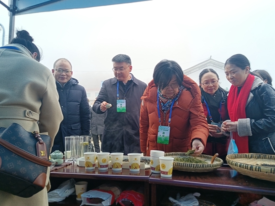 （供稿）2022年“貴州綠茶”第一採六盤水分會場活動在水城區舉行_fororder_茶2