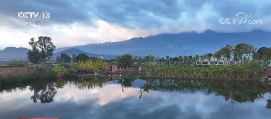 假期访美景 | 冬日大屯海水天一色 越冬候鸟如约而至