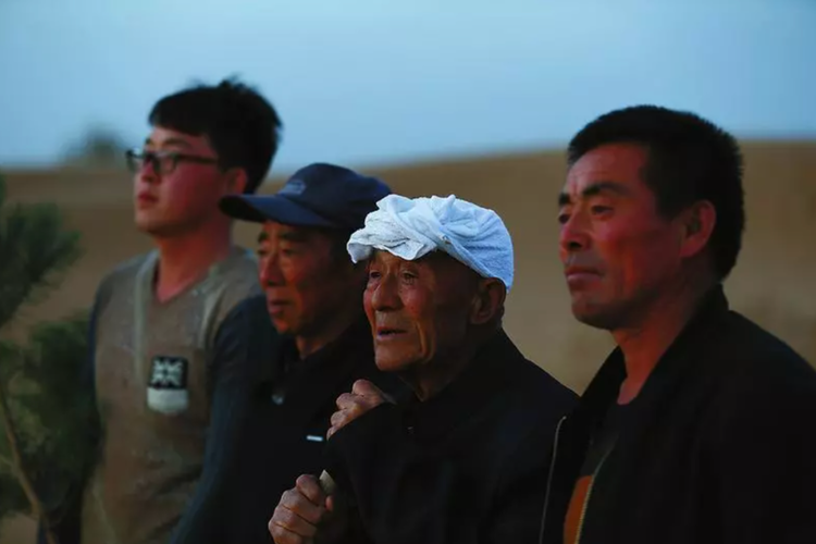 中国人种树有多牛？看看这家人就知道了