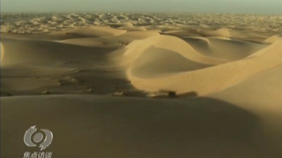 中国人种树有多牛？看看这家人就知道了