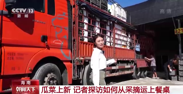 海南瓜菜上新 总台记者探访“南菜北运”全流程