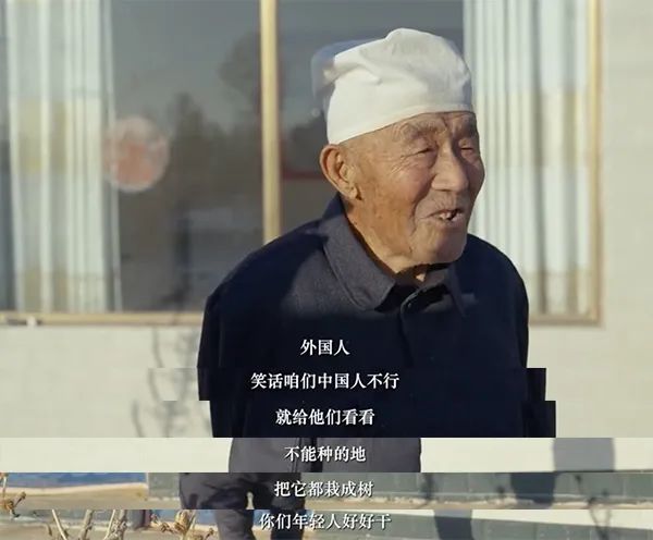 中国人种树有多牛？看看这家人就知道了