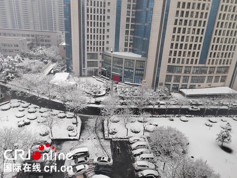 鄭州迎來2022年第一場雪_fororder_微信圖片_20220105105618