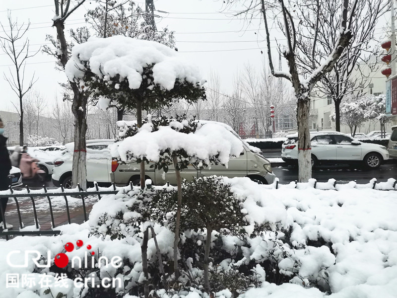 郑州迎来2022年第一场雪_fororder_微信图片_20220105105615