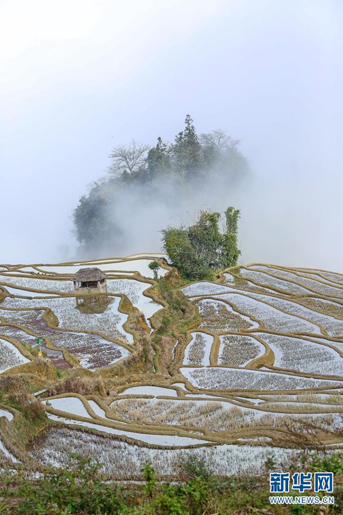 云上梯田梦想红河图片