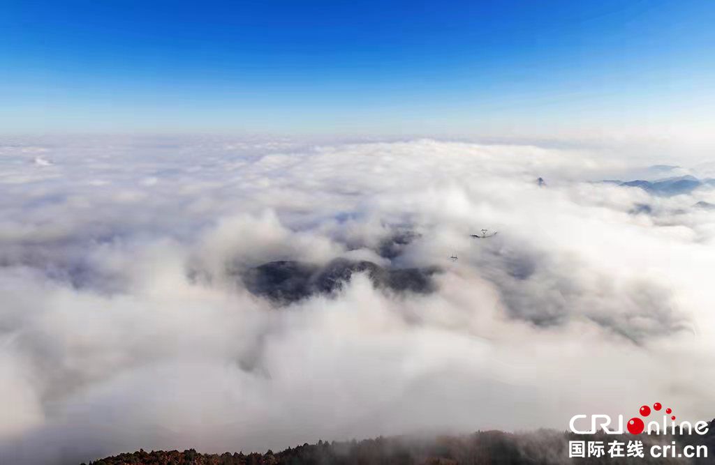 （原创）贵州六盘水：云海涌动梅花山  犹如仙境惹人醉_fororder_组图5