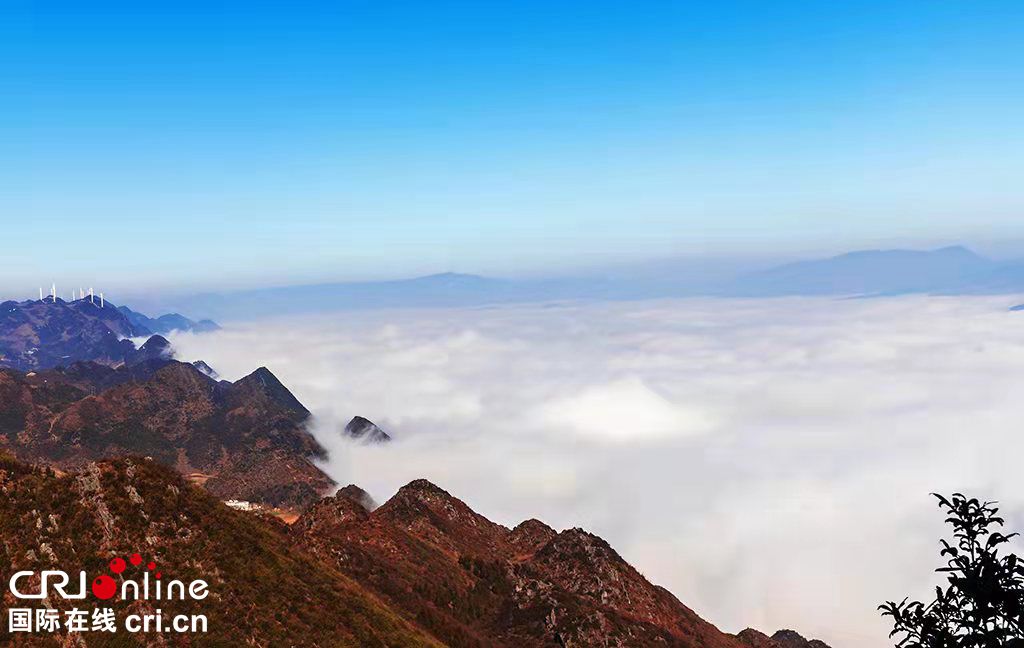 （原创）贵州六盘水：云海涌动梅花山  犹如仙境惹人醉_fororder_组图2