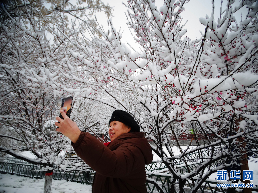 雪后汴京 景色迷人