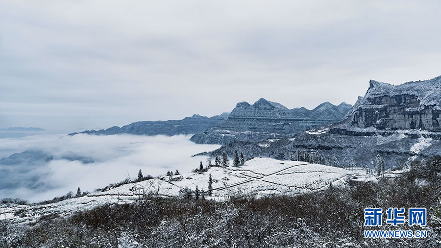 雪後二仙岩 雲翻霧卷的冰雪世界