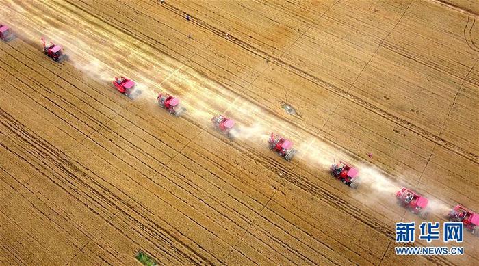 图片默认标题_fororder_1126078025_15913386439831n