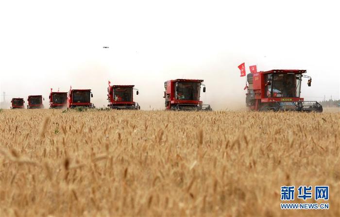 图片默认标题_fororder_1126078025_15913386440391n