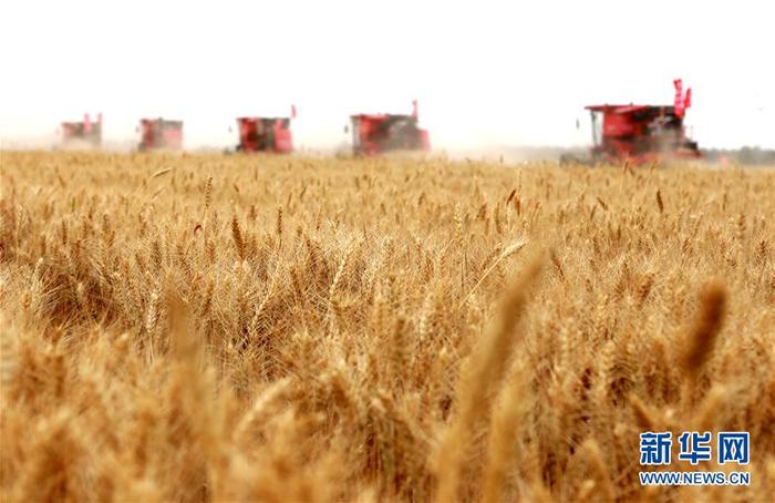 图片默认标题_fororder_1126078025_15913386440131n