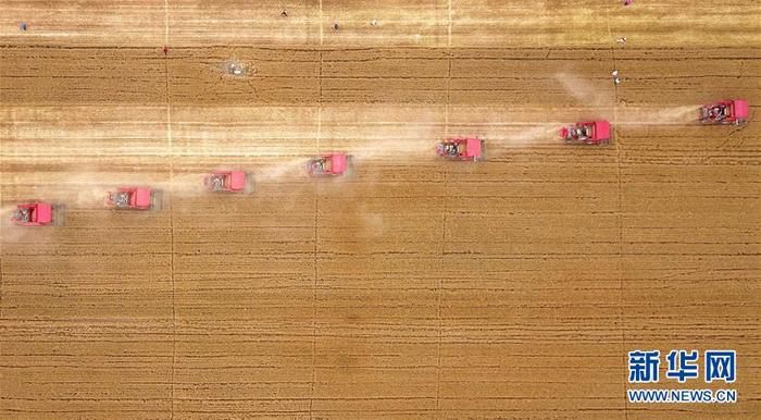 图片默认标题_fororder_1126078025_15913386440641n