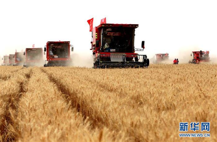 图片默认标题_fororder_1126078025_15913386440921n