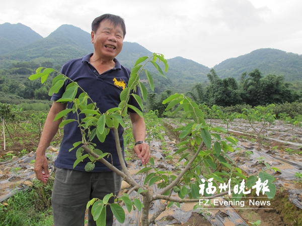 【台海 列表】台湾杰出农民 在福清干得风生水起