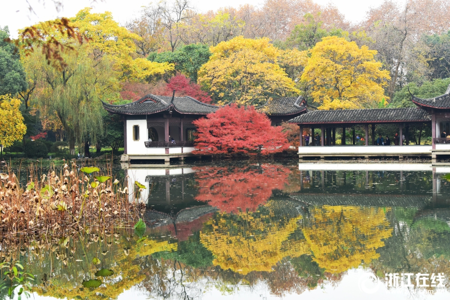杭州：西湖景色美如画