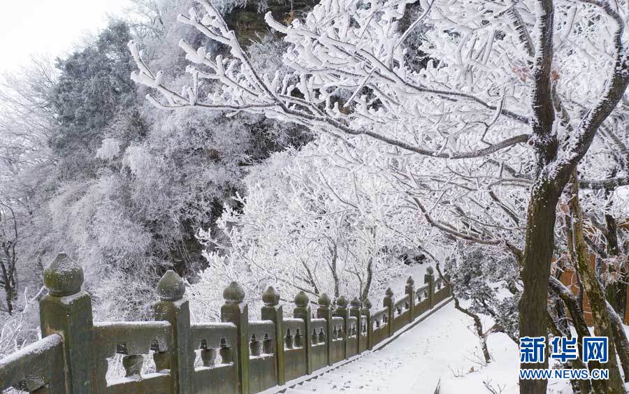 湖北武當山：新年又見瓊芳墜玉樓