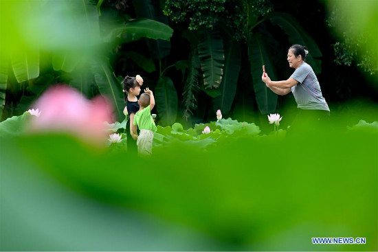 Bulaklak ng Lotus sa Fuzhou