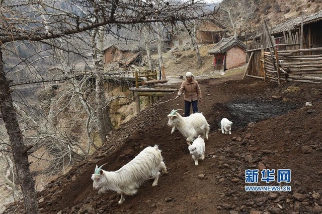 山西黄土高原空心村庄 仅剩几户老人留守