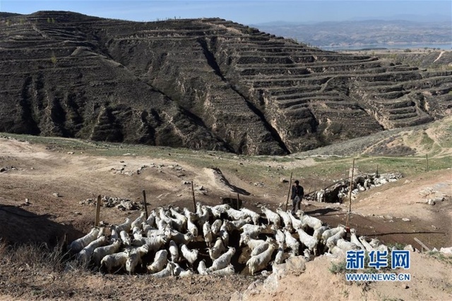山西黄土高原空心村庄 仅剩几户老人留守