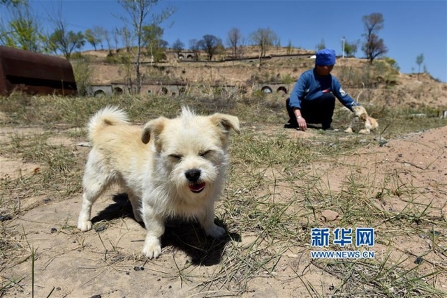 山西黄土高原空心村庄 仅剩几户老人留守
